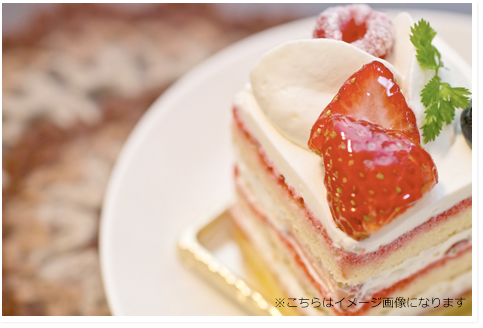 ガールズプラン